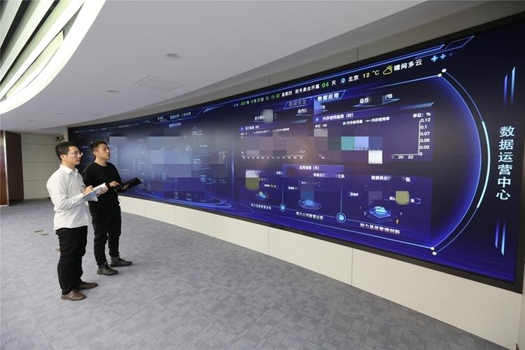 国网北京市电力公司互联网部数据管理能力评估体系与互联网数据服务